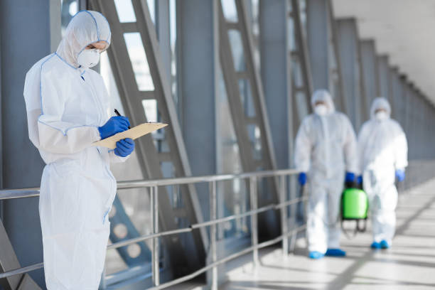 Best Attic Mold Removal  in Superior, AZ
