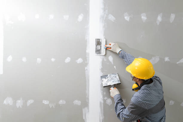 Best Dehumidification Services  in Superior, AZ