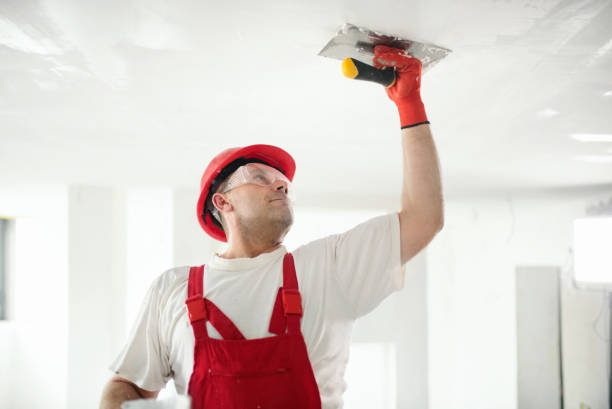Best Industrial Mold Remediation  in Superior, AZ