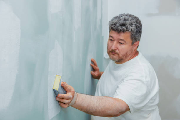 Best Mold Remediation for Vacation Homes  in Superior, AZ
