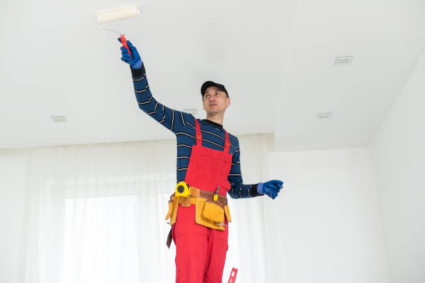 Best Mold Odor Removal Services  in Superior, AZ