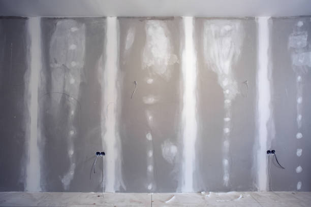 Best Biohazard Mold Removal  in Superior, AZ