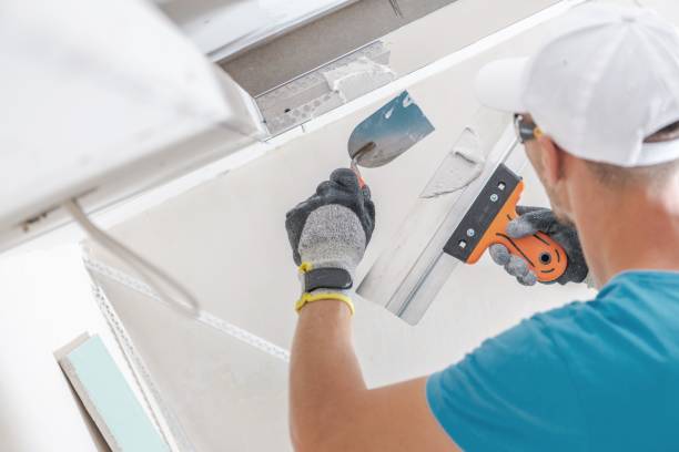 Professional Mold Removal in Superior, AZ